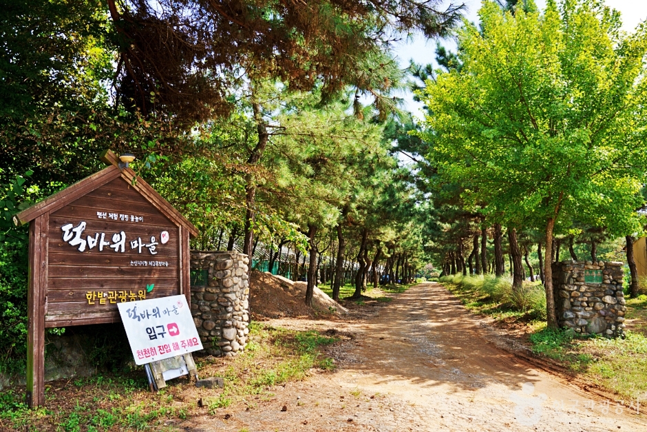 Deokbawi Rural Experience Village