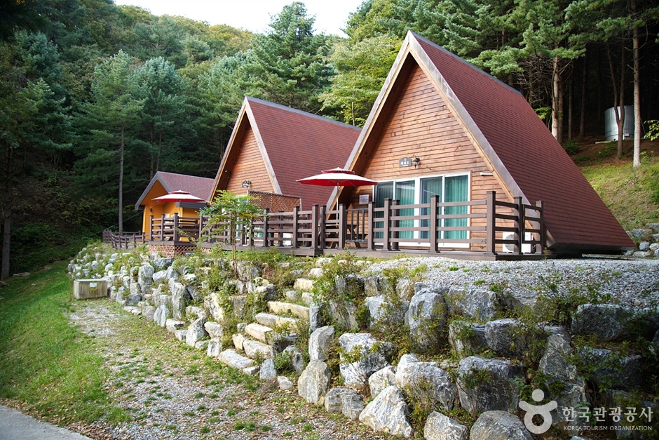 雉岳山自然休养林