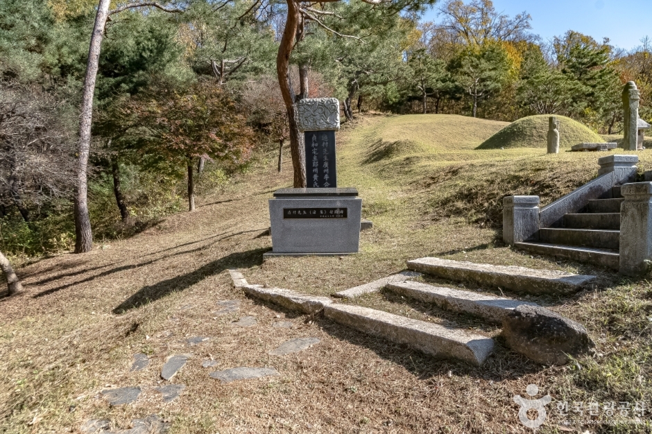 遁村李集墓域