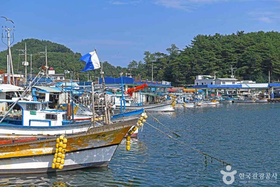 基沙門港