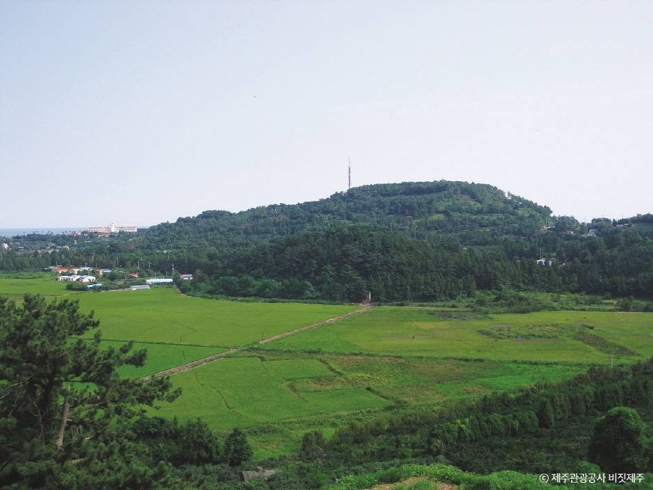 三梅峰