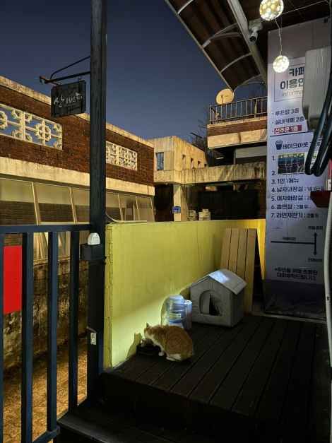 대전_산1번지 타로카페 (5).jpg