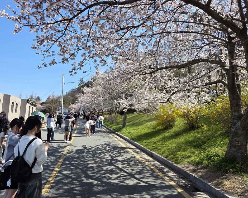 儒達山春祭り