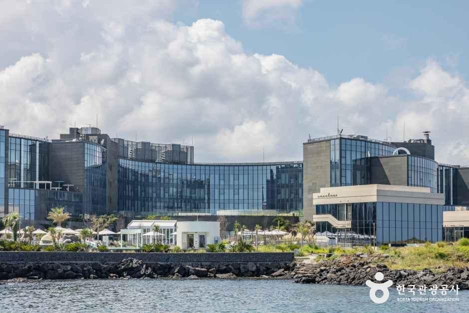 신라스테이 플러스 이호테우