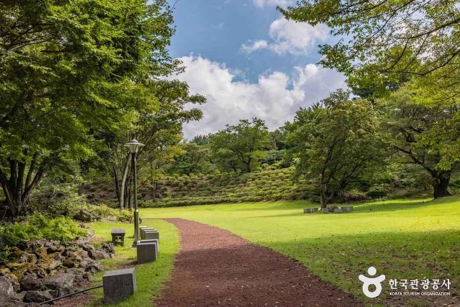 제주_이끼숲소길 (12).jpg