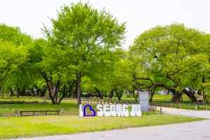 성주 경산리 성밖숲