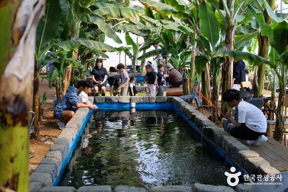 함평바나나생태나라