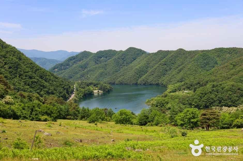해피초원목장