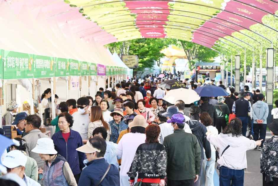 함평나비대축제