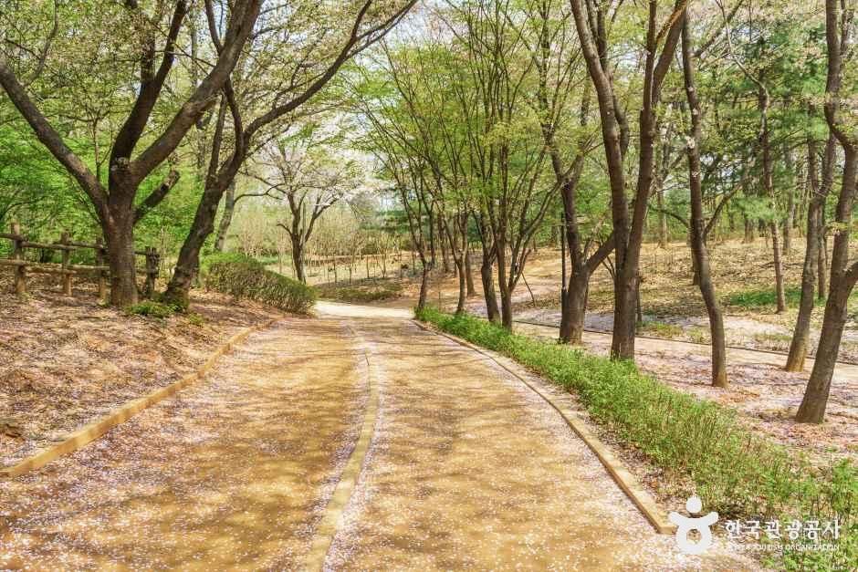 고양_성저공원 (4).jpg