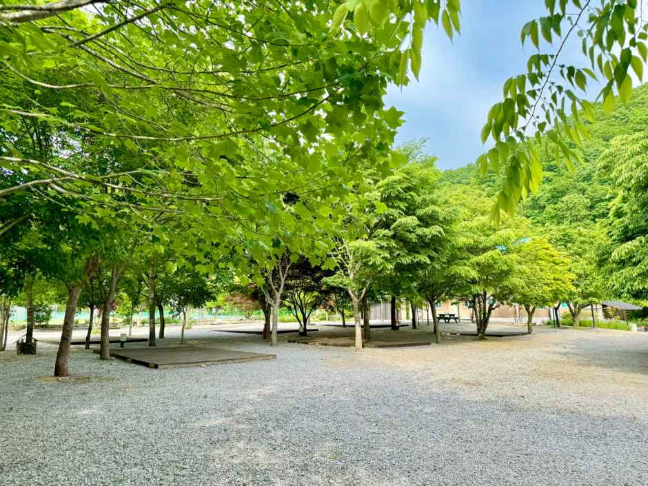 해마루오토캠핑장