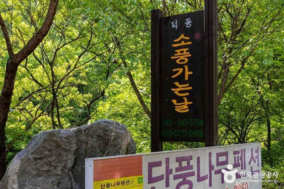 덕동소풍가는날 펜션캠핑장