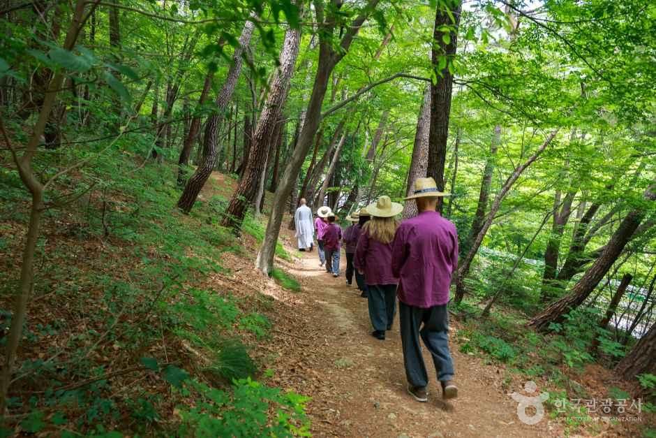BEO Walking Program: Strolling Along the Forest Trails of Geumjeongsan National Park