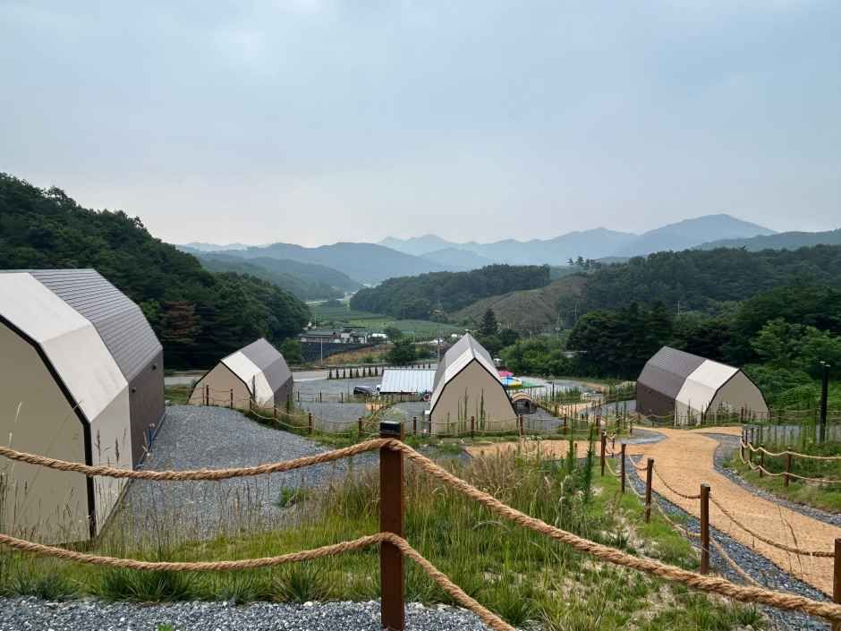 오차드블리스