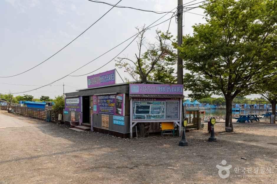 만정민트바다낚시터