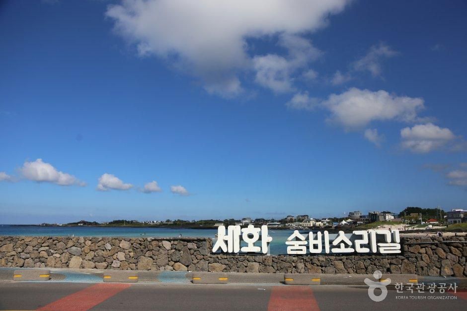 세화해수욕장