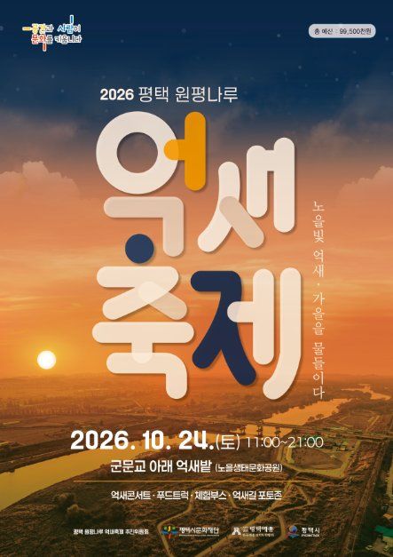 평택 원평나루 억새축제 사진 7