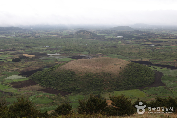 다랑쉬오름(월랑봉)