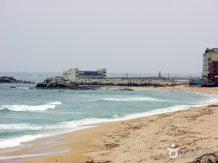 봉포해변 봉포해변