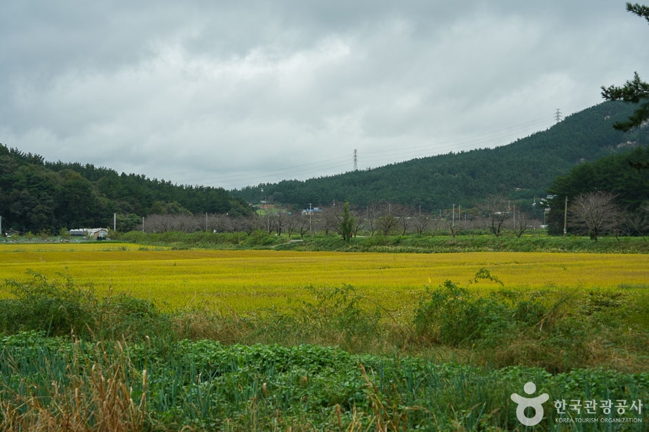 [Solhyanggil Trail] Course 4