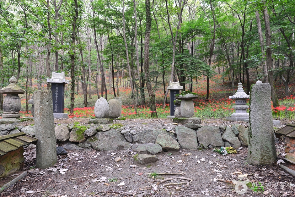 Templo Yongcheonsa en Hampyeong (용천사(함평))
