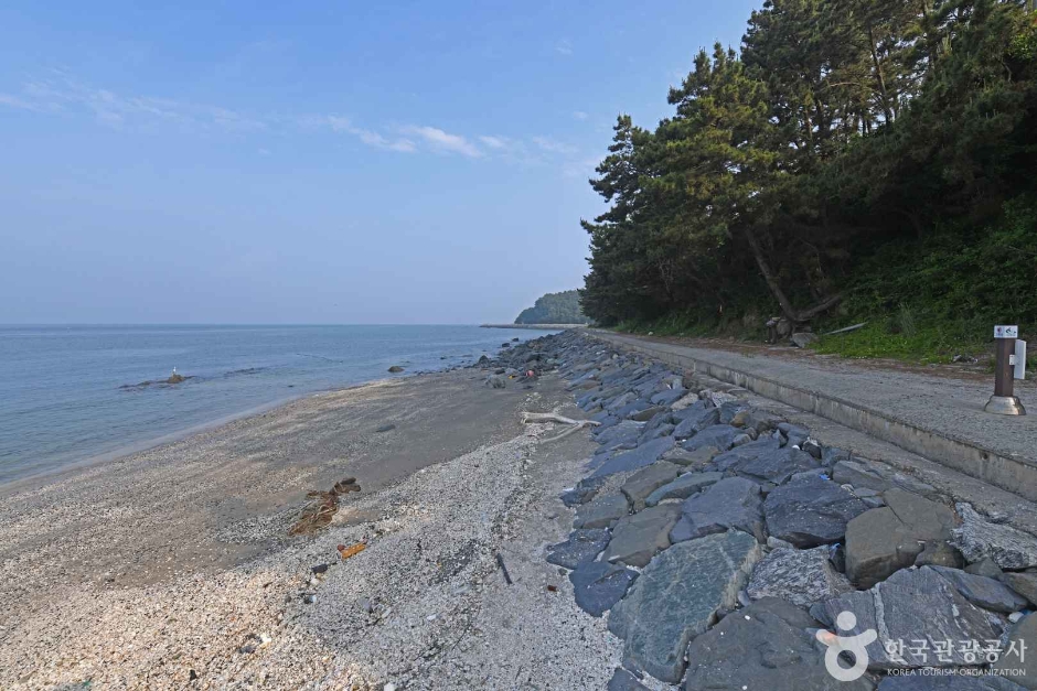 茶山港