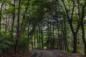 인천_대학공원 (5)
