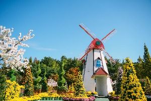 2025 익산천만송이 국화축제 4
