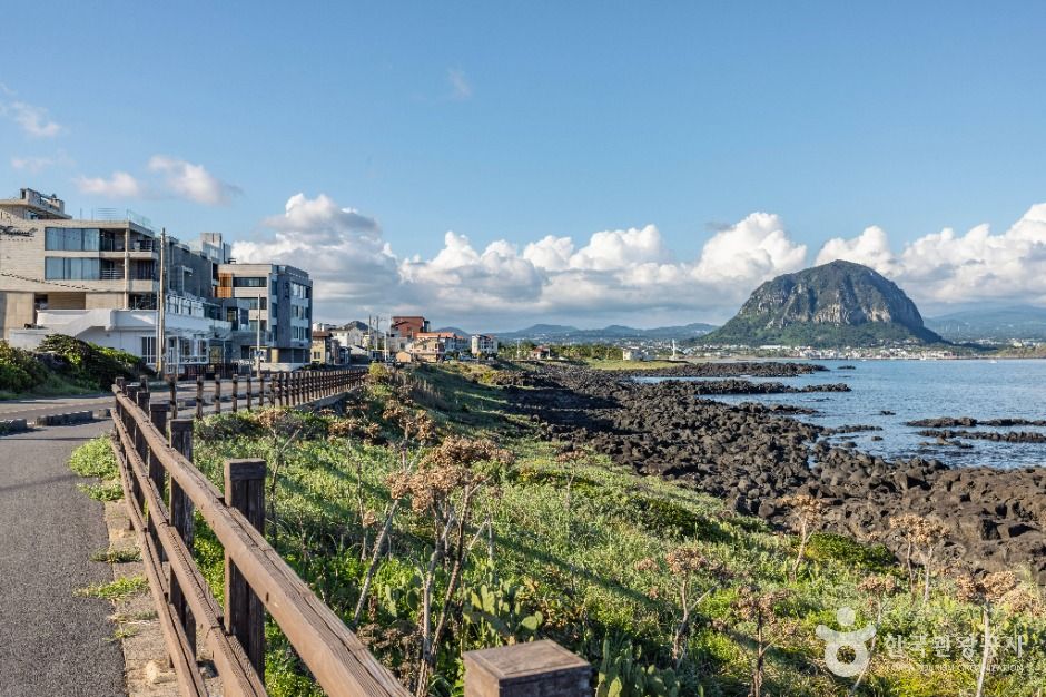 兄弟海岸公路