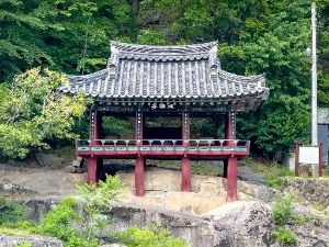 3570677 image3 1 예스키즈존 탐험대 : 실패 없는 육아여행