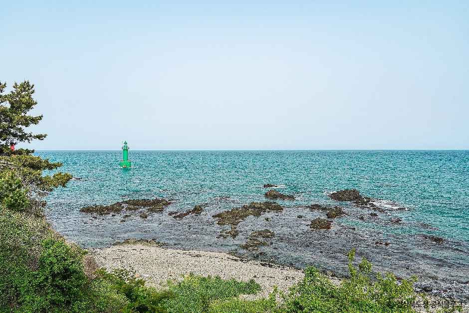 경주 양남 주상절리군