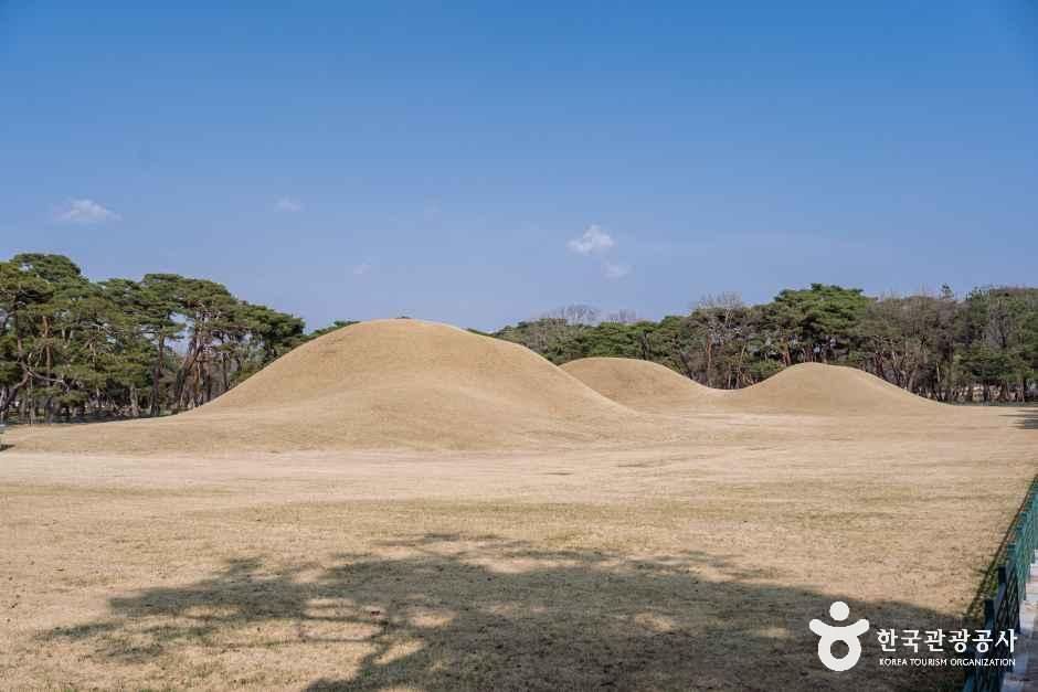 경북_경주_경주 오릉_외부_1.jpg