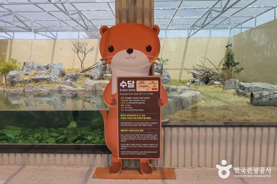 충주아쿠아리움