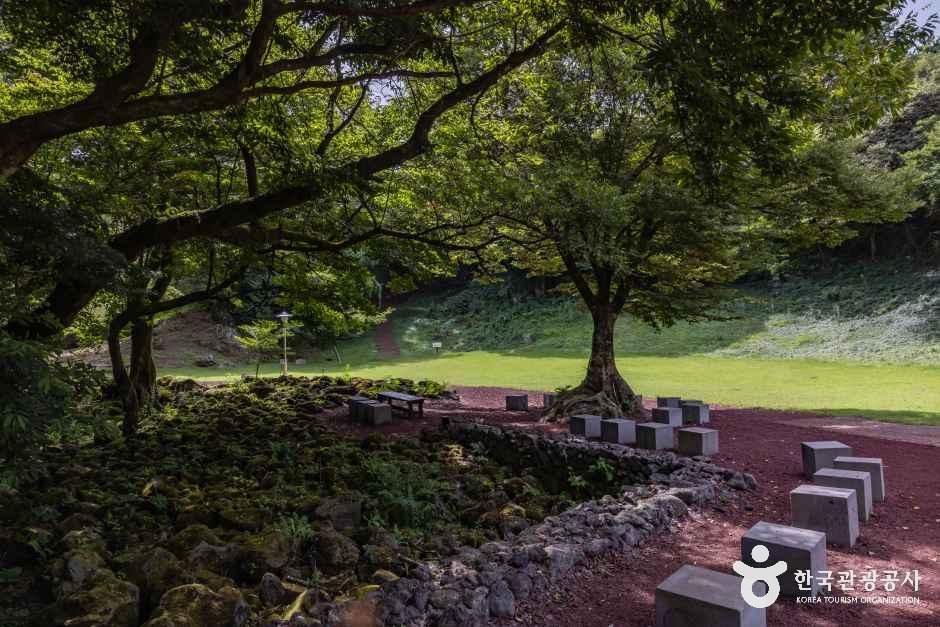 제주_이끼숲소길 (13).jpg