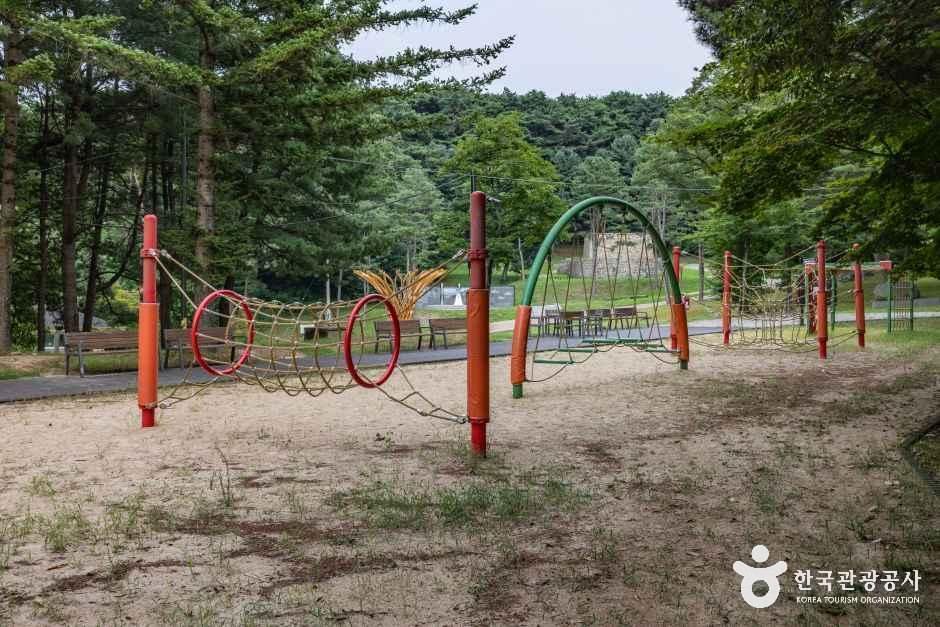 인천_마니산 치유의 숲 (11).jpg