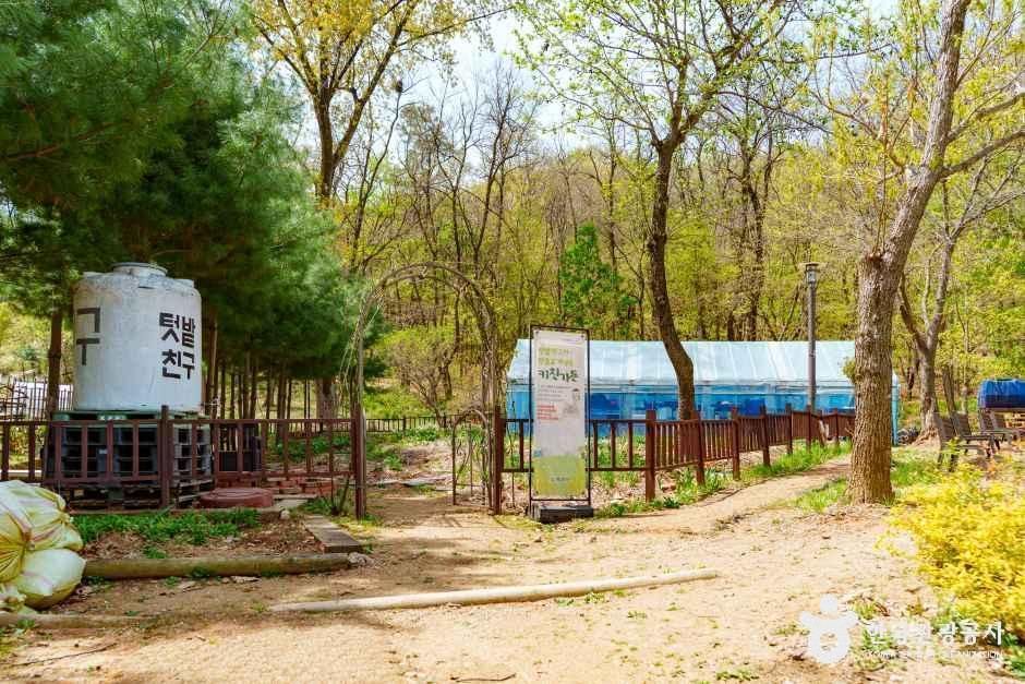 양천도시농업공원