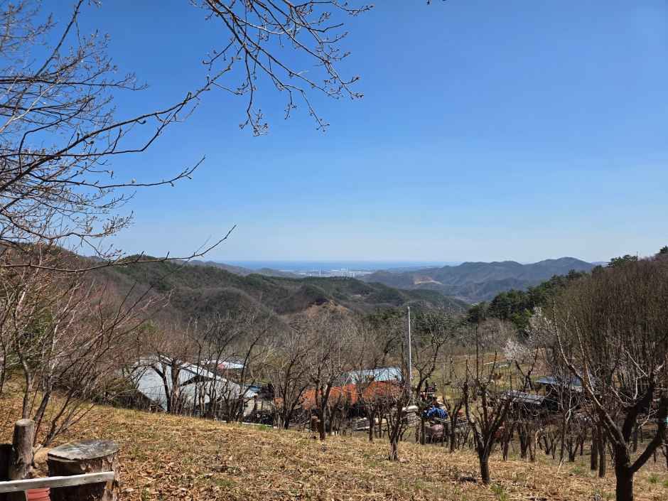 [백두대간 동해소금길 제3코스] 무릉별유천지(금곡동 옛길)