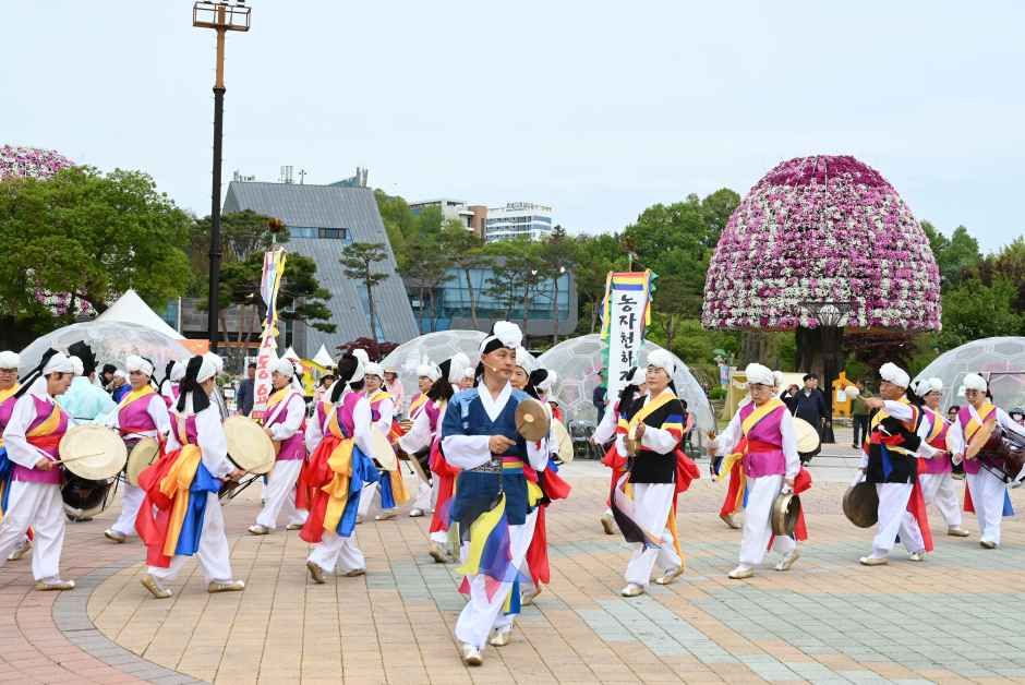 함평나비대축제