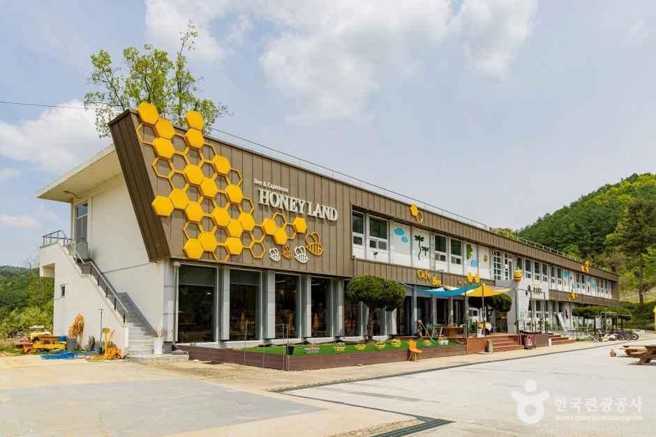 꿀벌랜드 - 충청북도 괴산군 사리면 모래재로 941 관광 명소