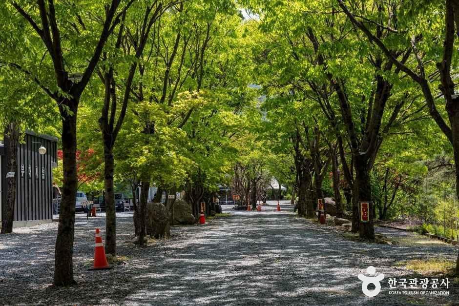쌍곡예당 - 충청북도 괴산군 칠성면 쌍곡로1길 111 관광 명소