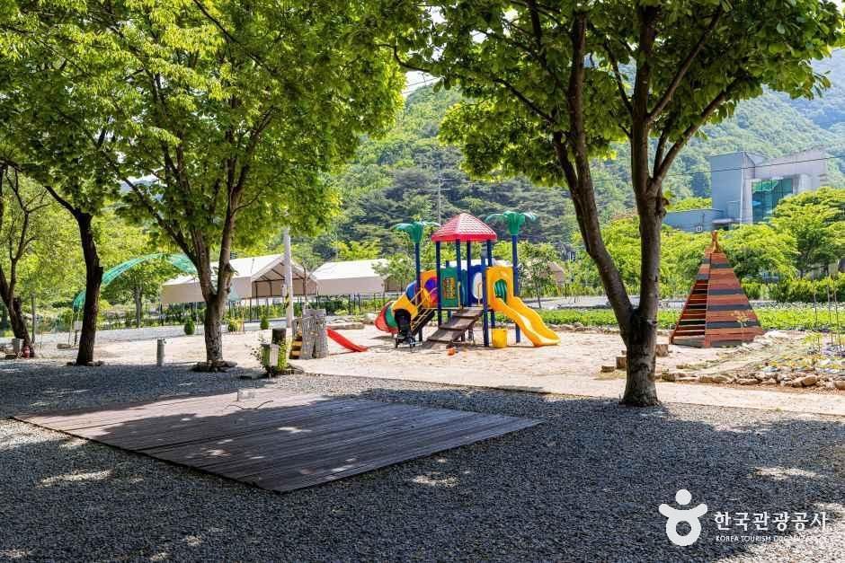 월악 파머스 캠핑장