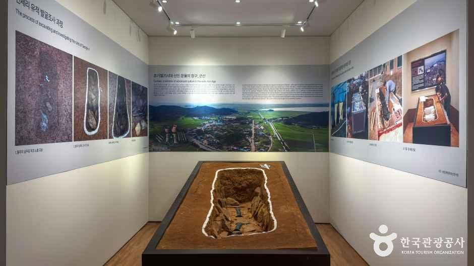 국립군산대학교 박물관