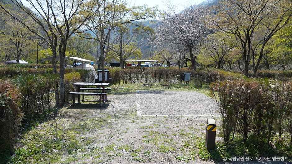 장성_가인야영장 (6).jpg