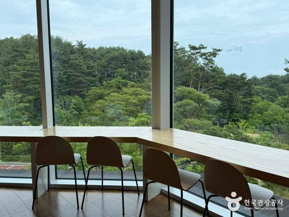 양양_카페 로그 (7).jpeg