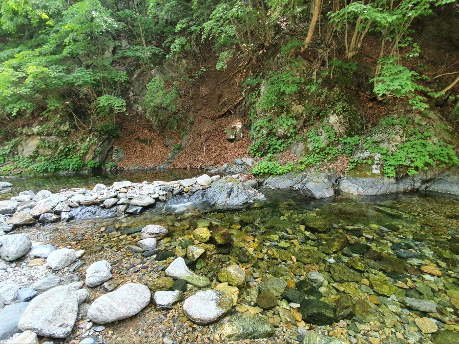 검산별빛캠핑장