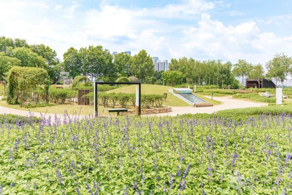 Ilja Mountain Herb Astronomy Park