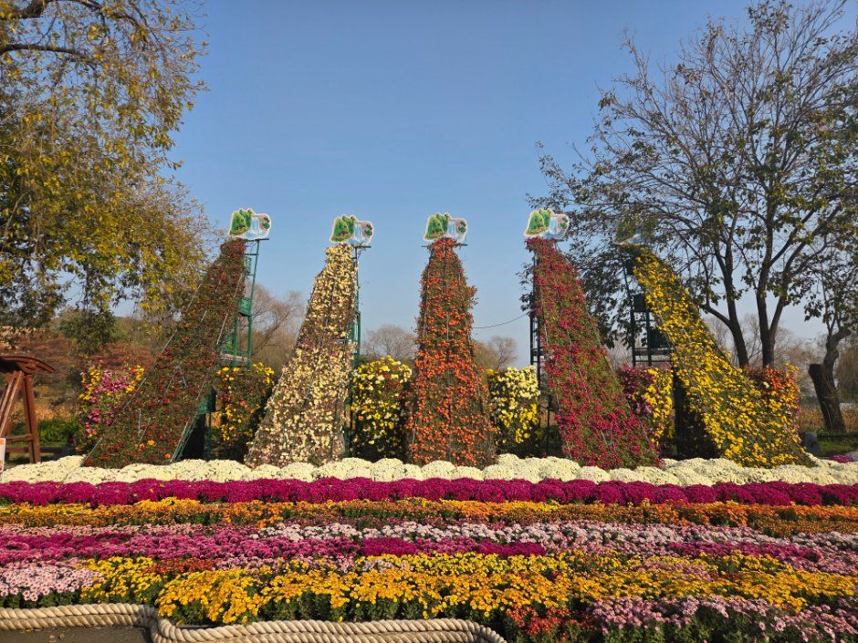 Festival image 9