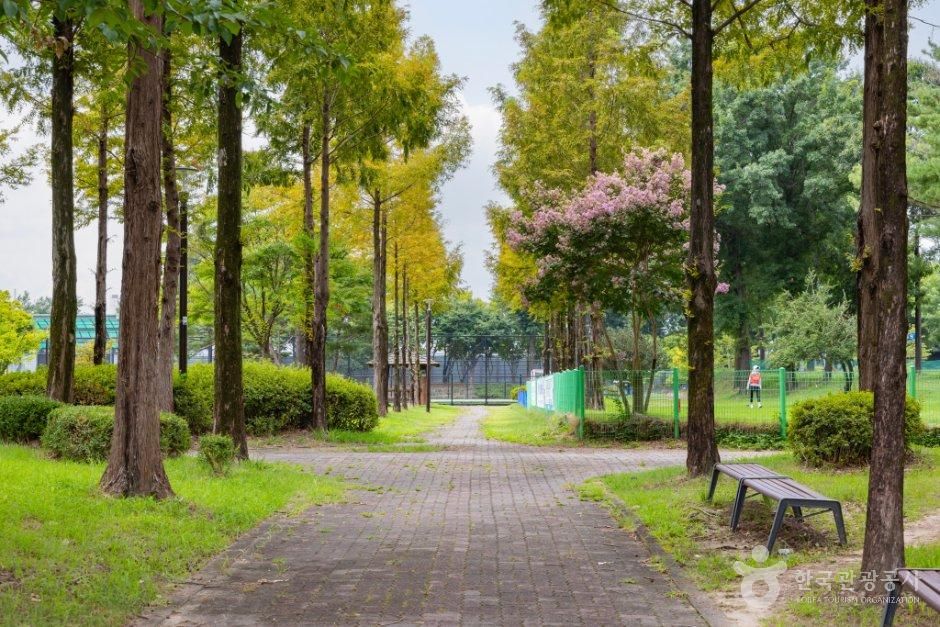 대전_대덕구_을미기공원 (1).jpg
