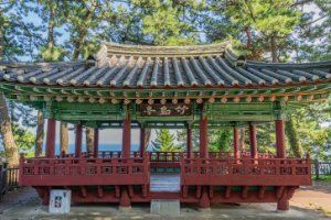 죽도정·죽도 전망대
