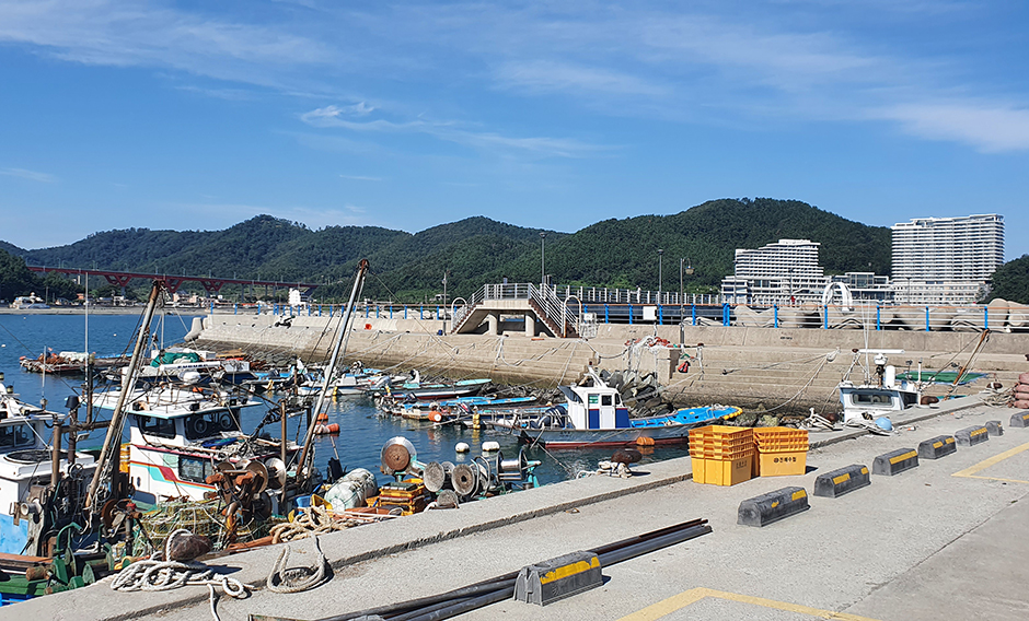 宮農港